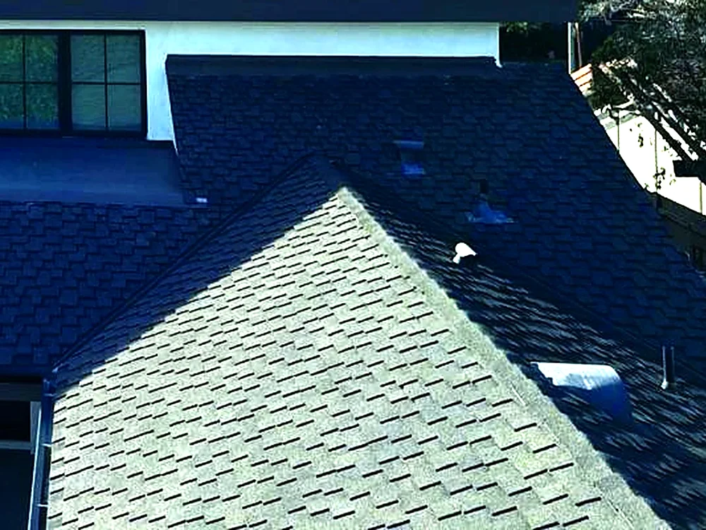New architectural asphalt shingle roof installed by Green Conception